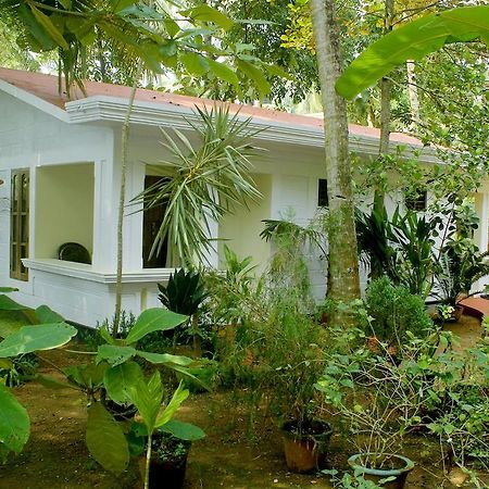 Jickys Nest Varkala Quarto foto