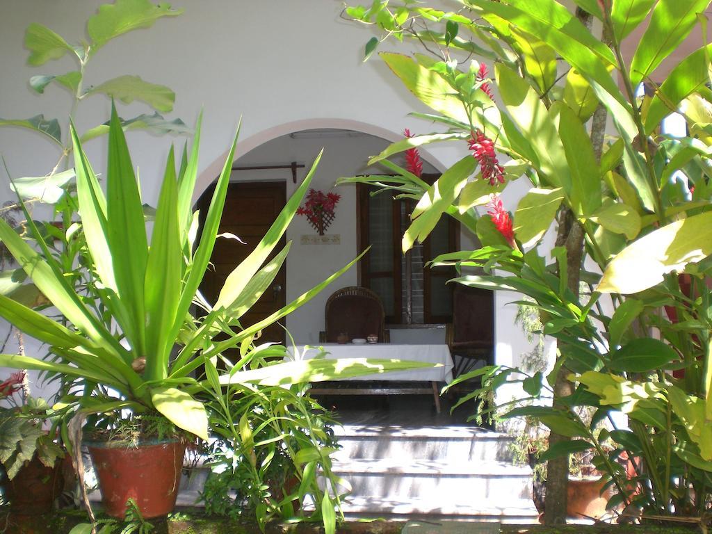 Jickys Nest Varkala Quarto foto