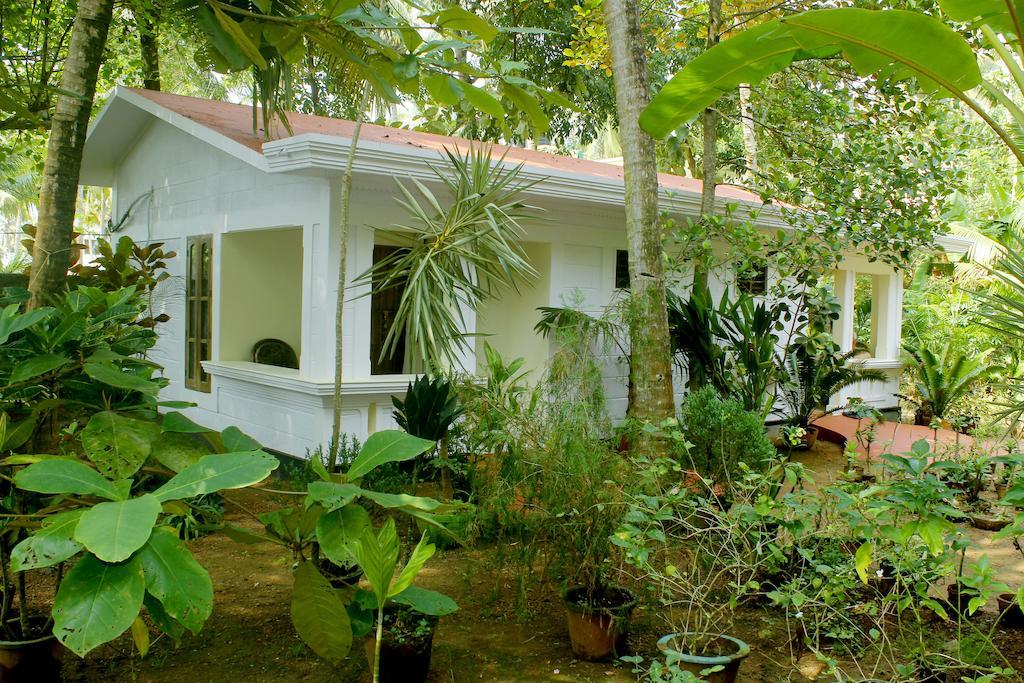 Jickys Nest Varkala Quarto foto