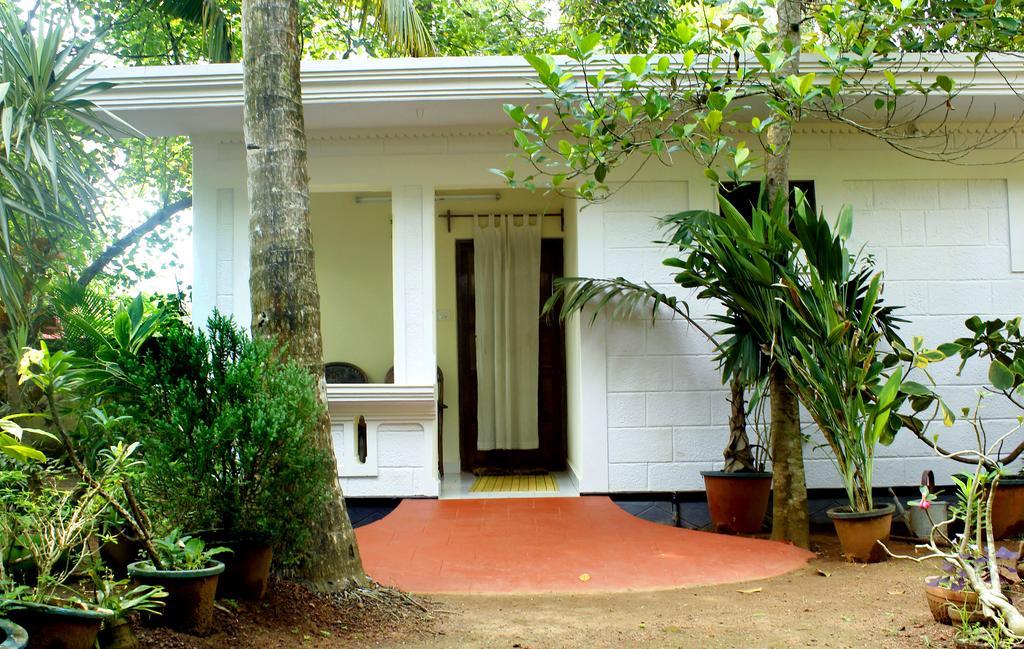 Jickys Nest Varkala Quarto foto