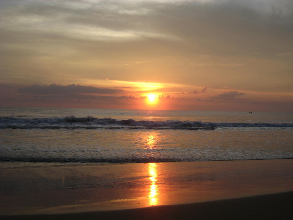 Jickys Nest Hotel Varkala Exterior foto